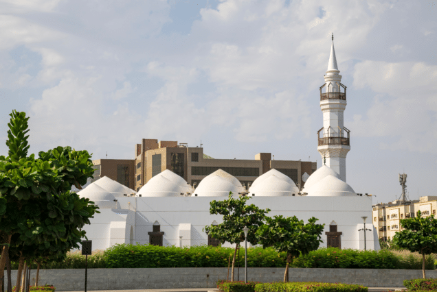Ushaiger And Shagra: Heritage Villages Tour